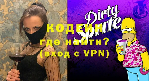 индика Бронницы