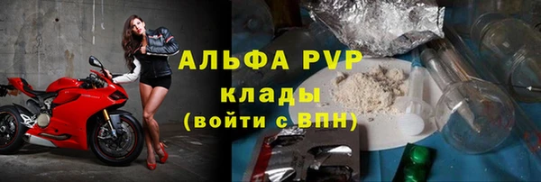 индика Бронницы
