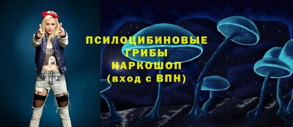 индика Бронницы