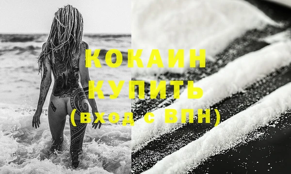 индика Бронницы