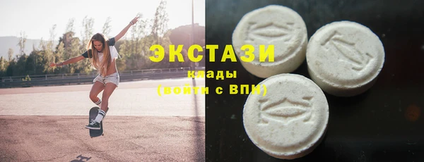 индика Бронницы