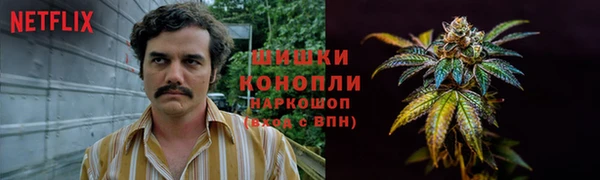 герыч Бородино