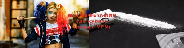 индика Бронницы