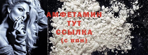 индика Бронницы