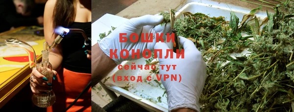 индика Бронницы