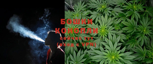 герыч Бородино